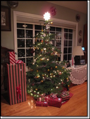 2014-christmas-tree-presents-12-23-14