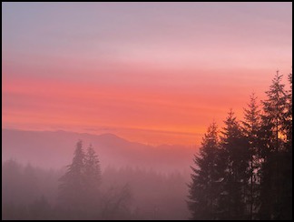 foggy sunrise