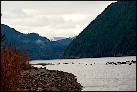 Reservoir near Cougar WA